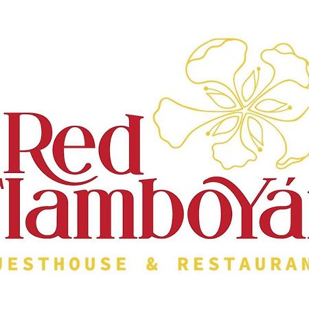 Red Flamboyan Guesthouse And Restaurant Рінкон Екстер'єр фото